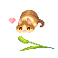 子猫&草じゃらし